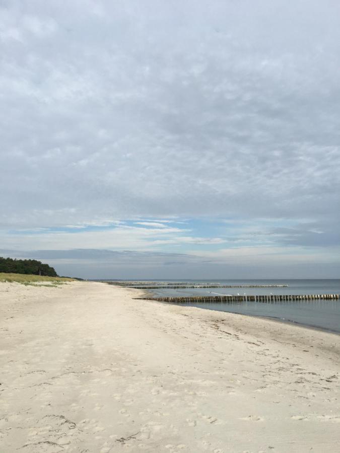 Fewo Sonnenblume Achtern Diek Zingst Exteriér fotografie