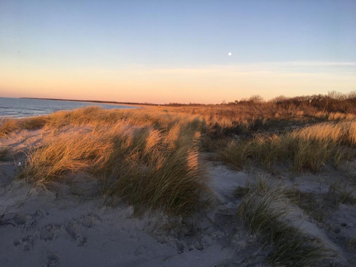 Fewo Sonnenblume Achtern Diek Zingst Exteriér fotografie