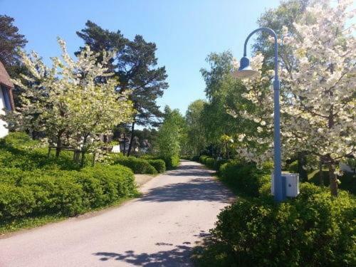 Fewo Sonnenblume Achtern Diek Zingst Exteriér fotografie